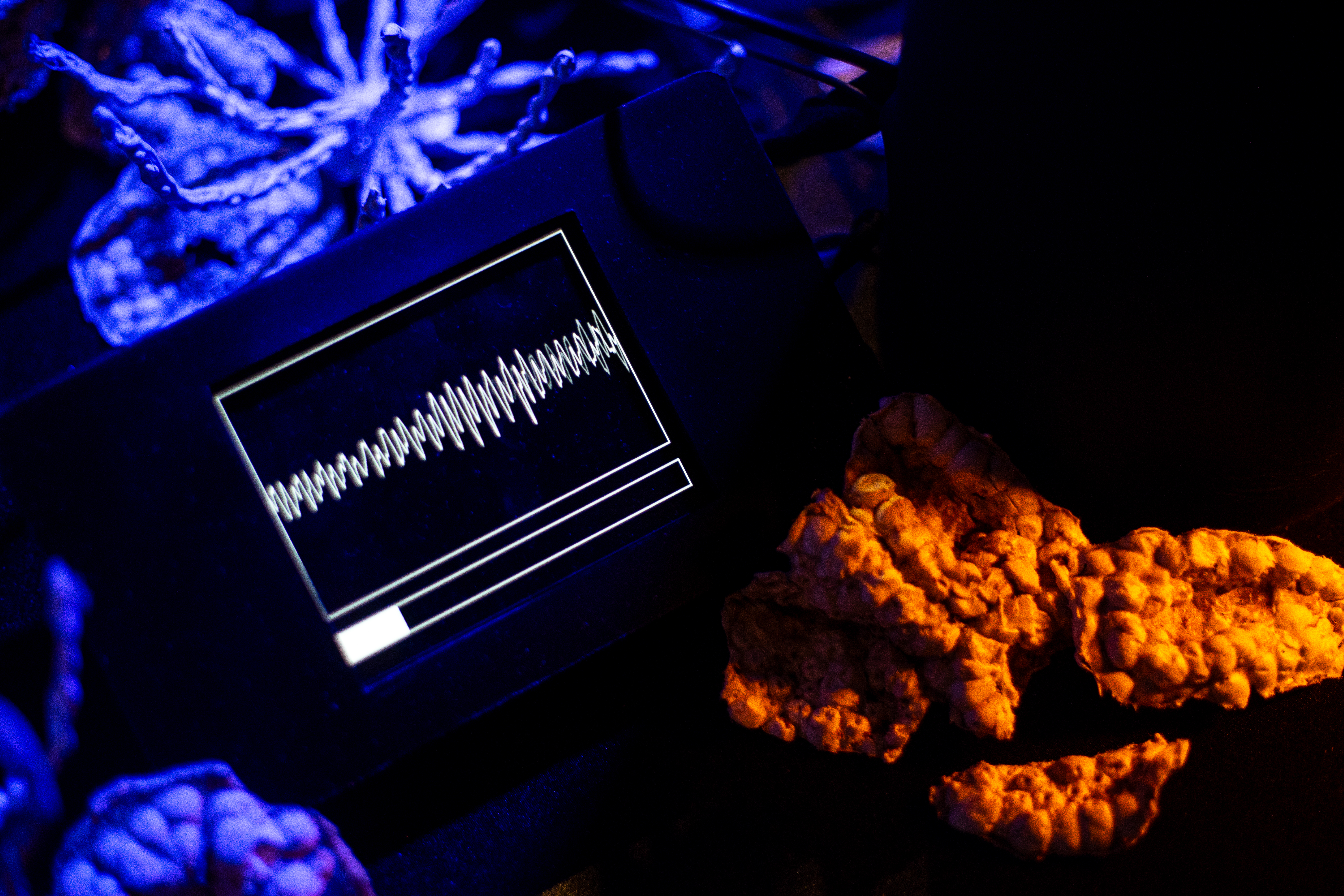 Chorale heartbeat tablet